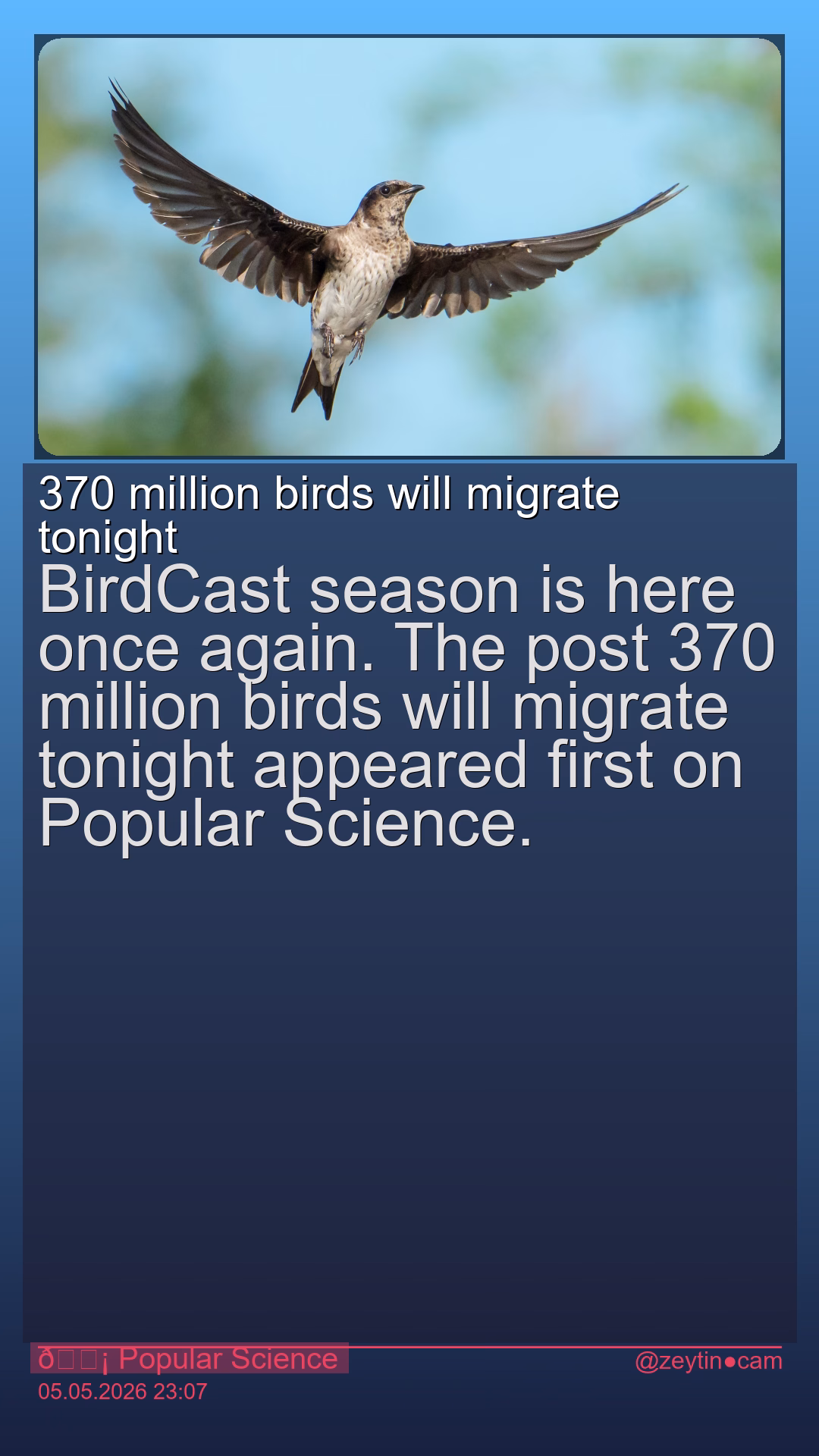 370 million birds will migrate tonight