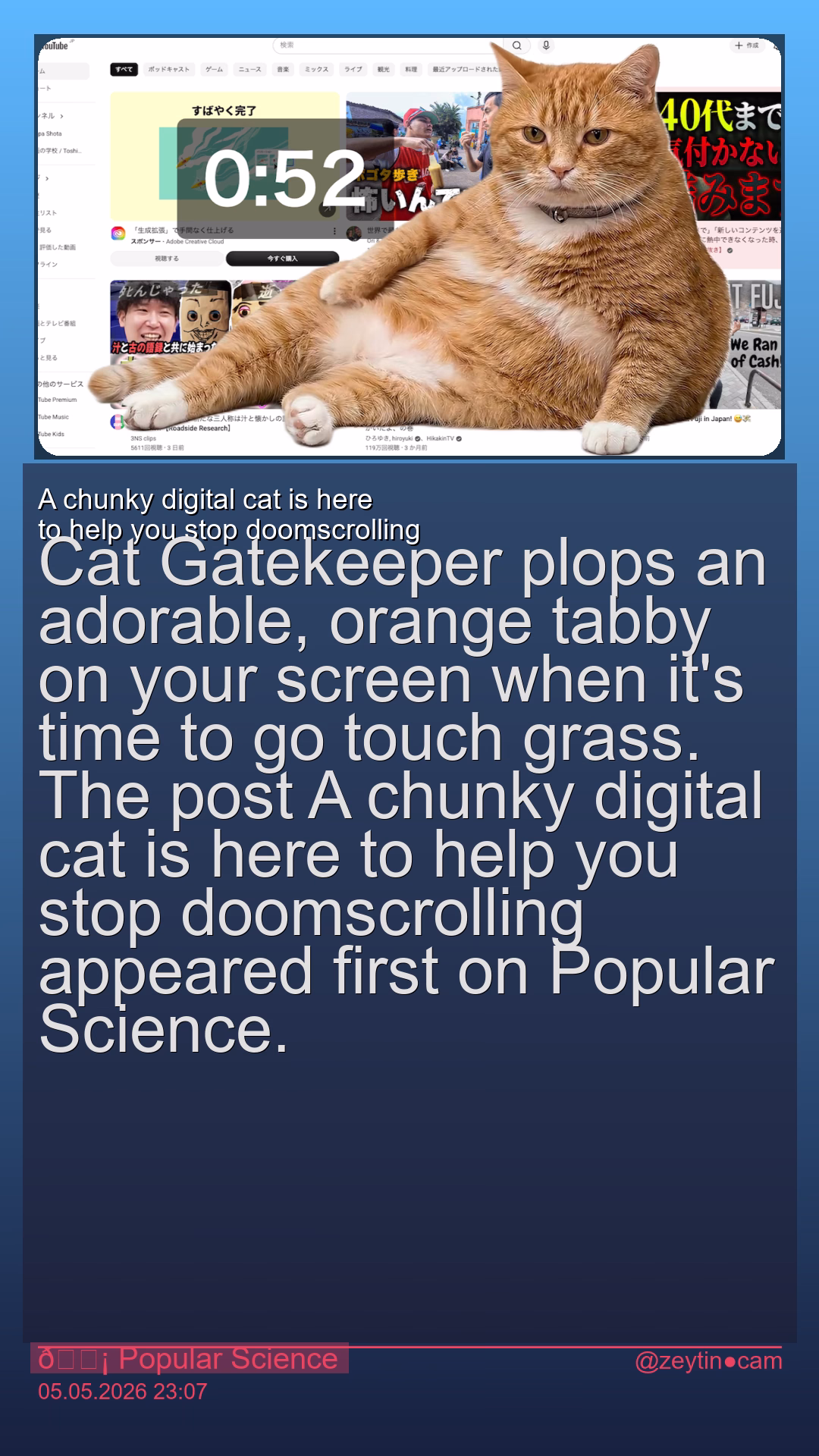 A chunky digital cat is here to help you stop doomscrolling