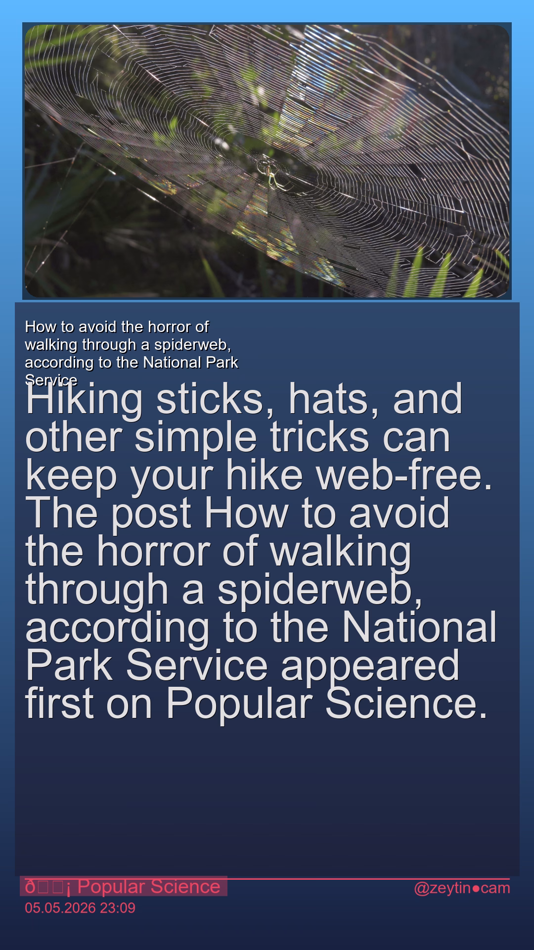 How to avoid the horror of walking through a spiderweb, according to the National Park Service