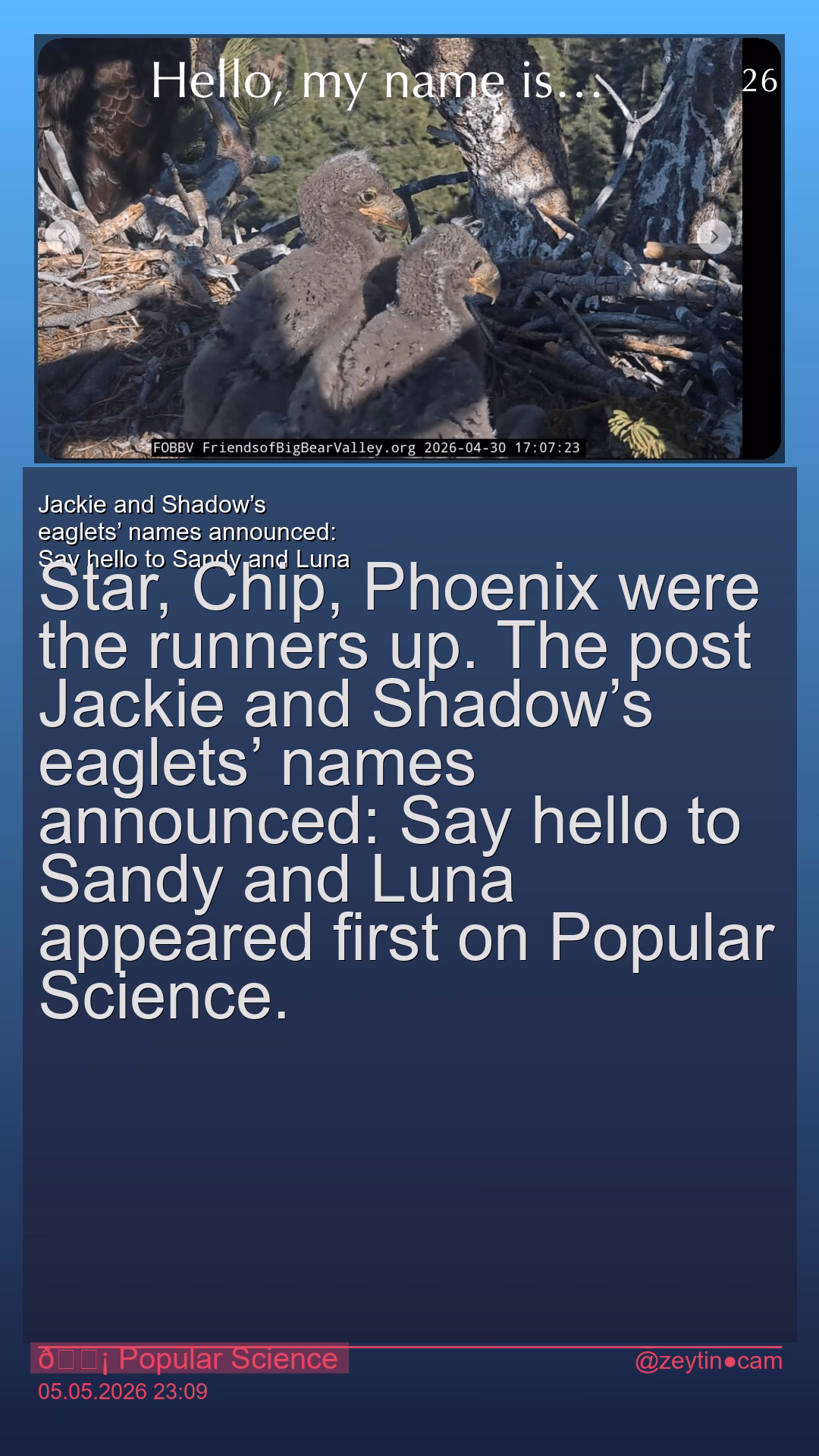Jackie and Shadow’s eaglets’ names announced: Say hello to Sandy and Luna