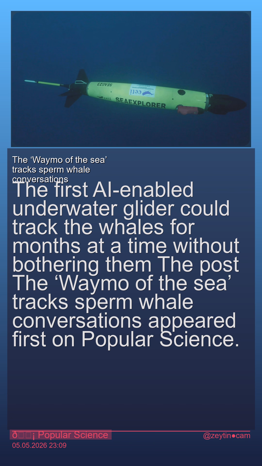 The ‘Waymo of the sea’ tracks sperm whale conversations