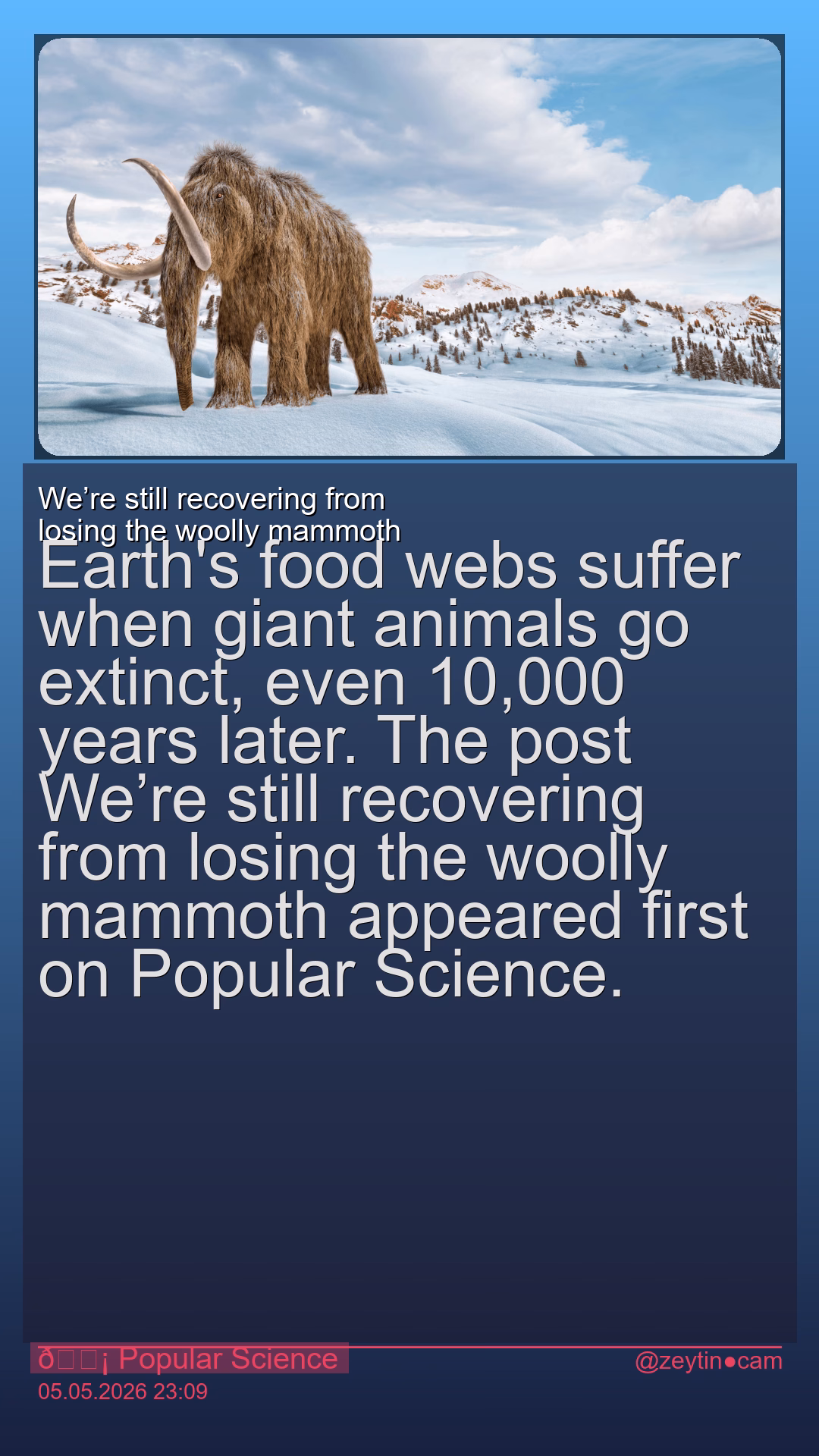 We’re still recovering from losing the woolly mammoth